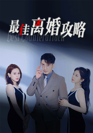 最佳离婚攻略（31集）高分佳作免费看
