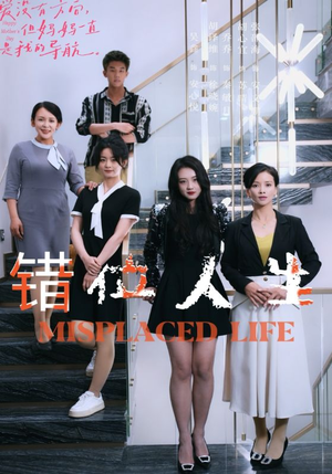 错位人生（89集）免费看短剧全集