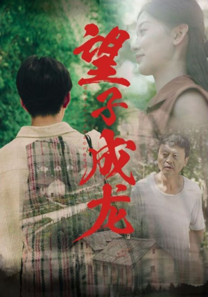 望子成龙（74集）爆款短剧抢先看