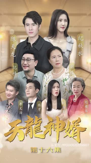 天龙神婿（80集）演的怎么样