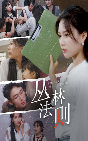 丛林法则（29集）全集完整版