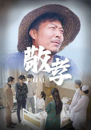 敬孝（61集）免费版