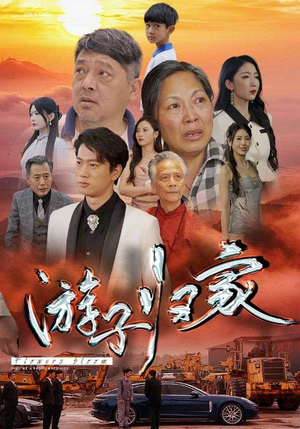 游子归家（88集）红果短剧免费看