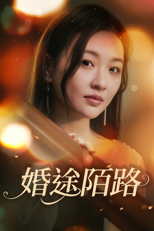 婚途陌路（15集）经典回顾免费看