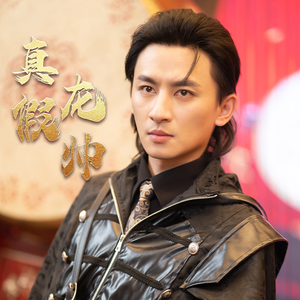 真假龙帅（81集）免费看短剧