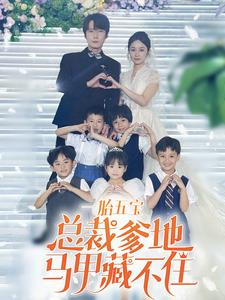 一胎五宝总裁爹地马甲藏不住（74集）短剧上热门