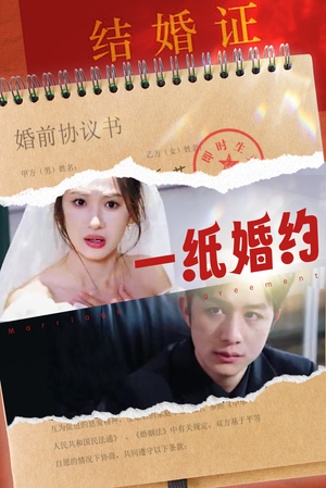 一纸婚约（90集）第三季