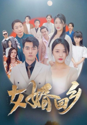 女婿回乡（120集）每天短剧分享
