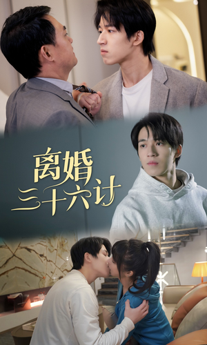 离婚三十六计（96集）免费短剧看不停