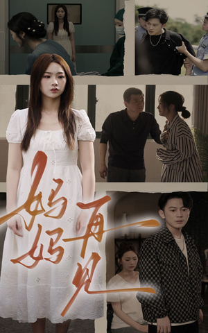 妈妈，再见（28集）免费观看完整版