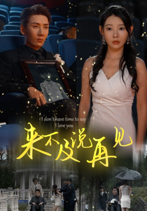 来不及说再见（30集）全集在线看