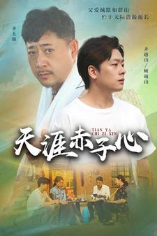 天涯赤子心（60集）免费在线看全集
