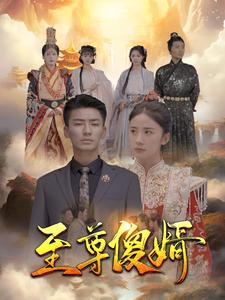 至尊傻婿（82集）好看又上头短剧