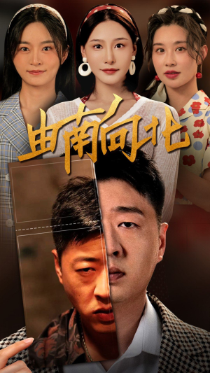 由南向北（88集）推荐好短剧