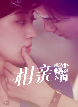 相亲遇到小奶狗（80集）在哪个平台看好