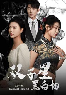 双子星黑白切（82集）在线看