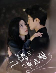 二婚有点甜（88集）全集在线看