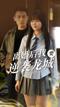 离婚后我要逆袭龙城（90集）免费观看全集