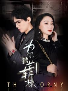 为你披荆斩棘（90集）免费在线看