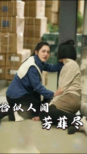 恰似人间芳菲尽（68集）百度网盘资源