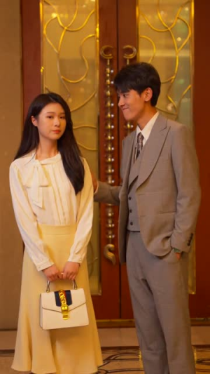 高手下山，退婚九个未婚妻（100集）短剧免费看全集