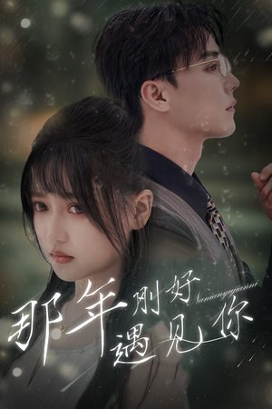那年遇见你（62集）在线观看