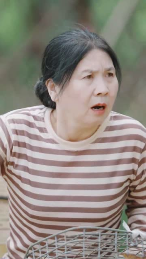 烟火里的尘埃（70集）全部免费看全集