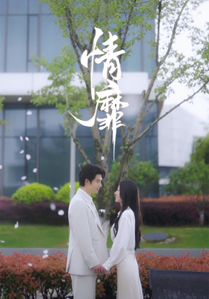 情靡（92集）迅雷网盘观看
