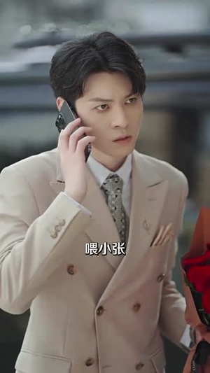 离婚前败光渣夫家产（100集）全集完整版