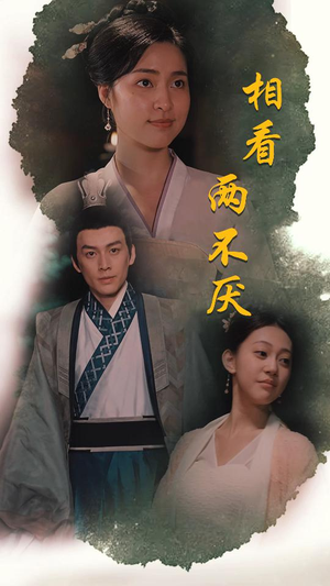 这个王妃不好惹（85集）追短剧看全集