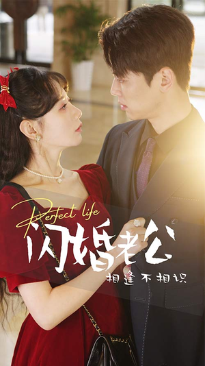 闪婚老公相逢不相识（90集）在线看免费版