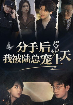 分手后，我被陆总宠上天（76集）短剧后续更精彩