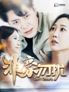 非豪勿扰（100集）百度网盘在线看