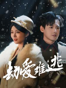 24.劫爱难逃（30集）最后一集