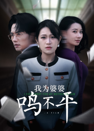 我为婆婆鸣不平（46集）免费在线看
