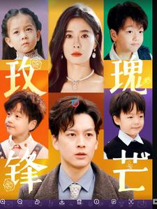 玫瑰锋芒（100集）短剧介绍