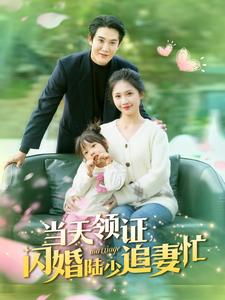 当天领证闪婚陆少追妻忙（80集）最新上映的短剧