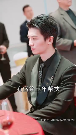 龙啸（87集）短剧看全集