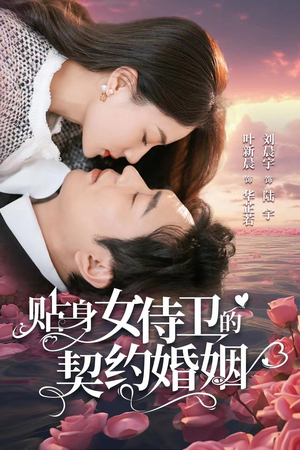 贴身女侍卫的契约婚姻（91集）评价怎么样