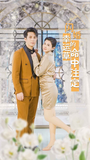 闪婚幸运草的命中注定（82集）短剧热门分享