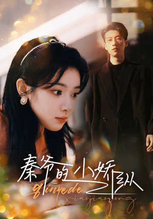 秦爷的小娇纵（96集）短剧解说热门