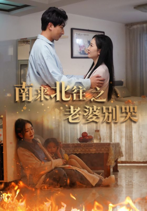南来北往之老婆别哭（87集）短剧有好货推荐