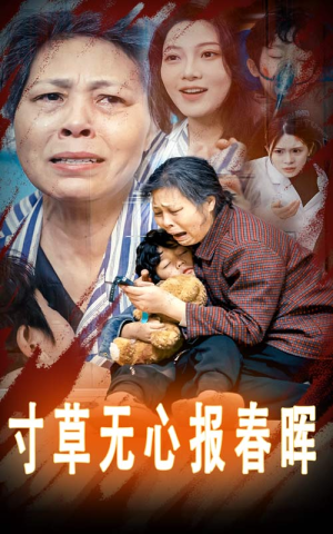 寸草无心报春晖（31集）短剧热门合集