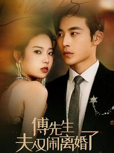 傅先生夫人又闹离婚了（80集）精彩短剧免费看