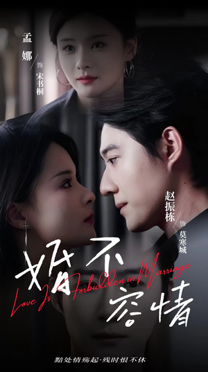 婚不容情（89集）完整版免费观看