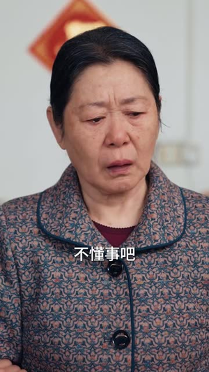 回家过年遇到极品亲戚（29集）红果免费短剧