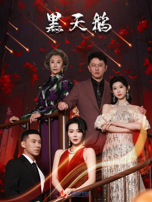 黑天鹅（51集）分享热门短剧