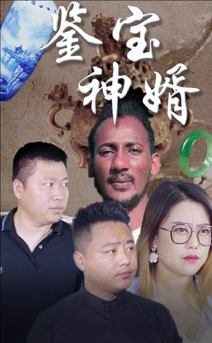 鉴宝神婿（87集）短视频追剧推荐