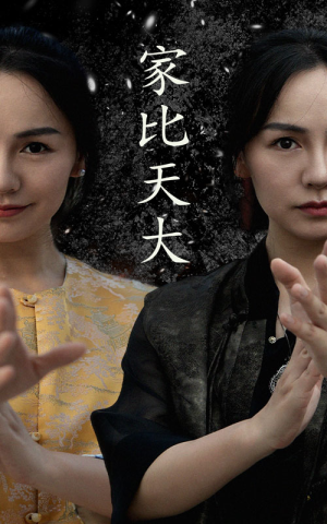家比天大（63集）免费短剧片段