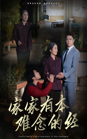 家家有本难念的经（34集）精彩短剧随心推